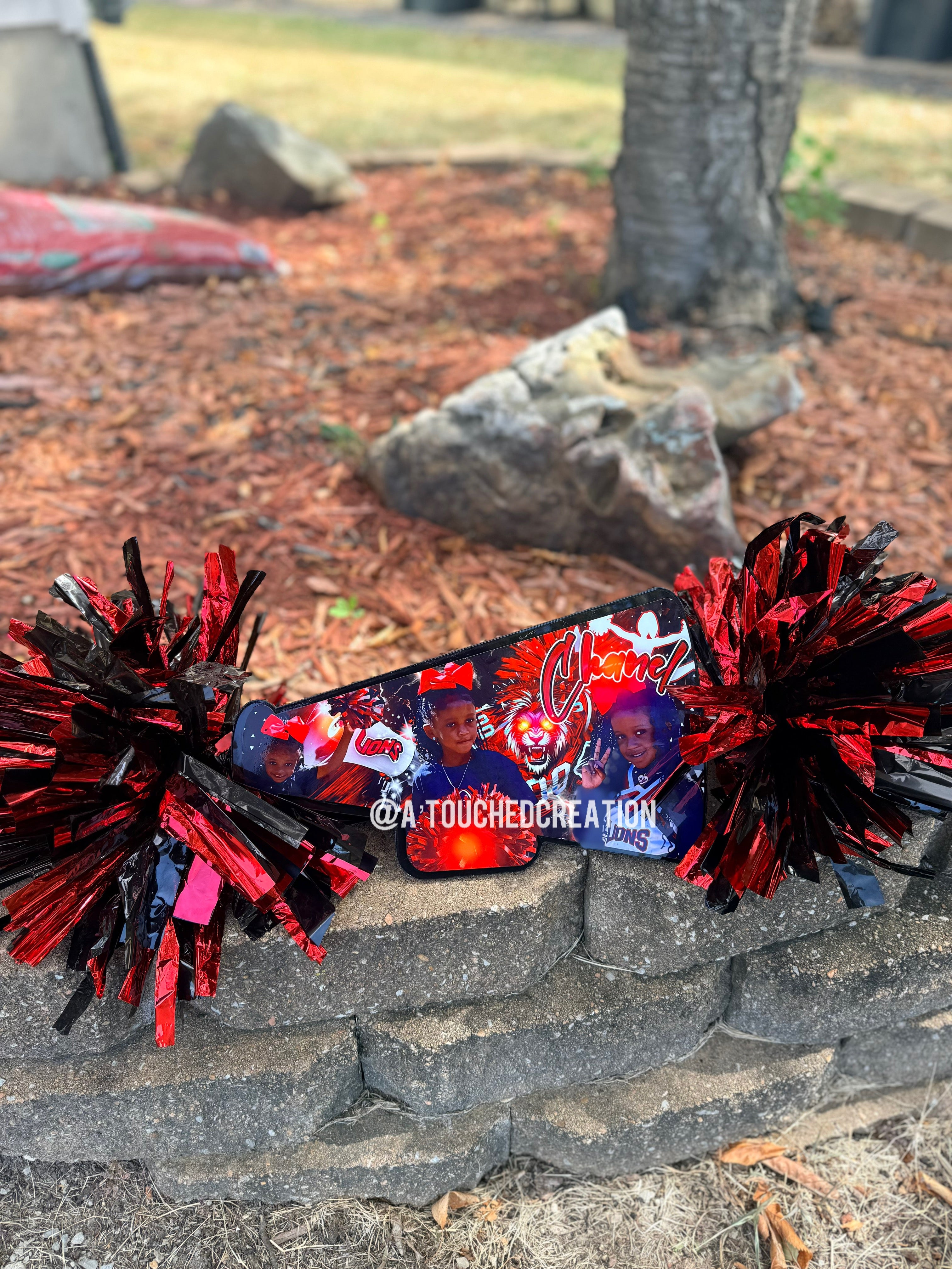 Custom Cheer Stick