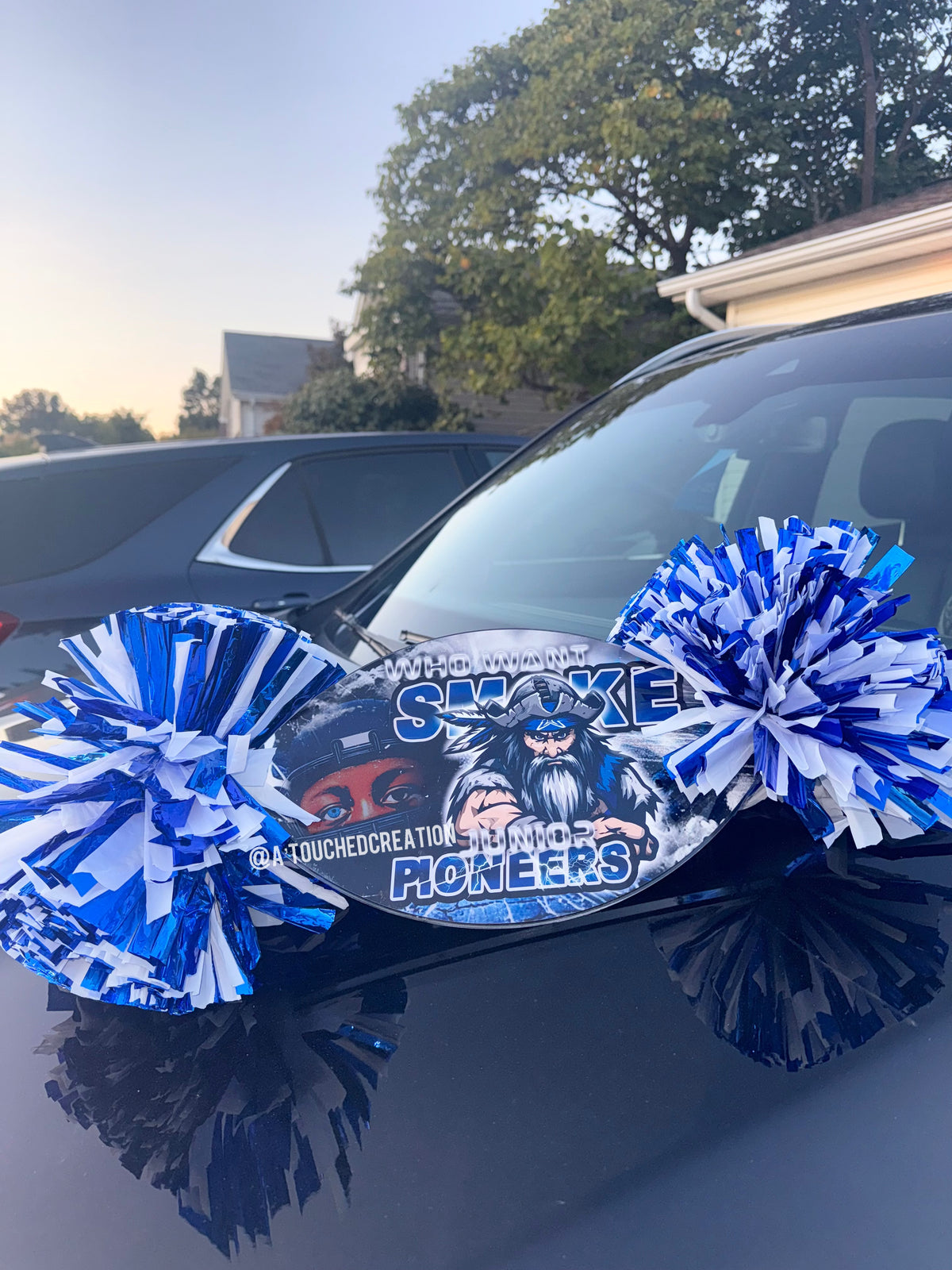 Custom Cheer Stick
