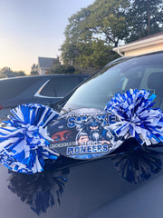 Custom Cheer Stick
